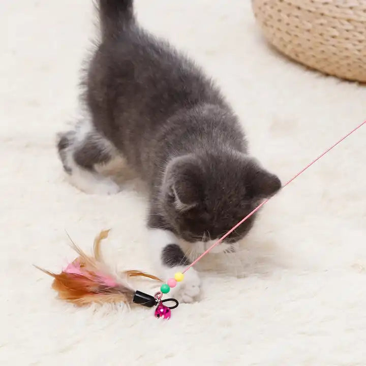 Feather Frenzy Cat Teaser