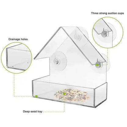 Comedero para pájaros de acrílico transparente montado en ventana