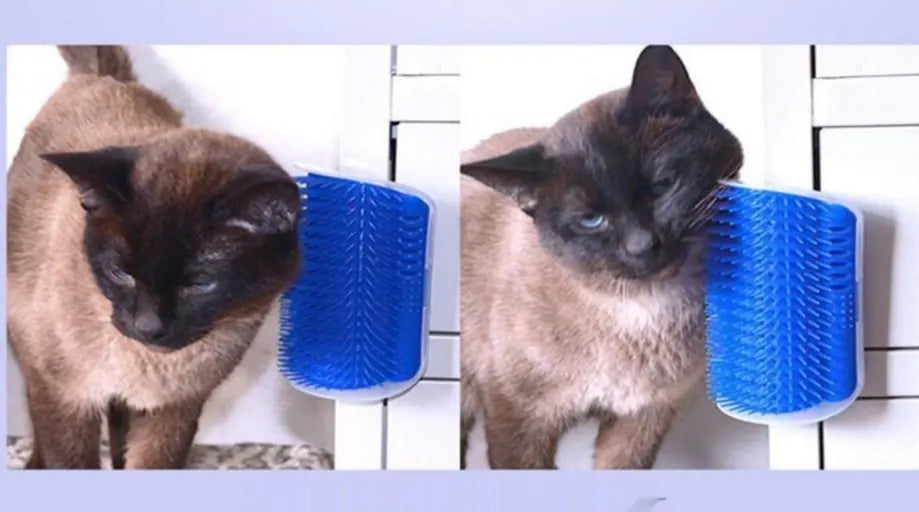 CattyCorner Brosse d'auto-toilettage pour chats