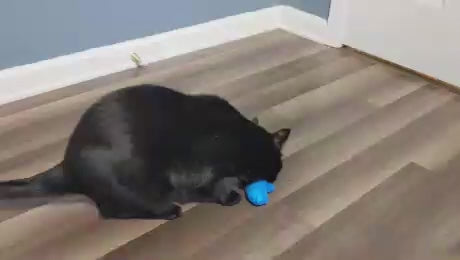 Porter's Mouse - Jouet pour chat à l'herbe à chat - Trois petites mitaines - Peluche, jouet pour chat en peluche avec herbe à chat